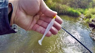 This Bait ALWAY Catches Fish! - Fall Spillway Fishing!