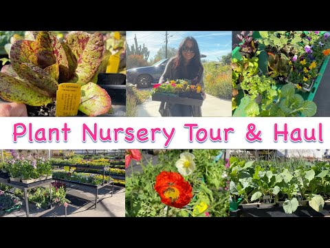 Los Angeles Local Garden Suppliers | PeopleStocks