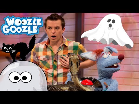 Wie kann ich meine Angst überwinden? l WOOZLE GOOZLE