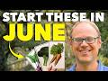 Last Chance: Sow these 7 Crops in June