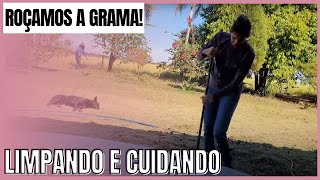 CUIDANDO DO STIO/ Roando a grama/Fazendo limpeza/ Roando com Eliane