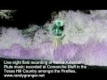 Native American flute Firefly music