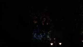 Tree Of Life Awakening Disney's Animal Kingdom
