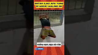 Download lagu Brainless thief!!! professional thief#shorts #trending mp3