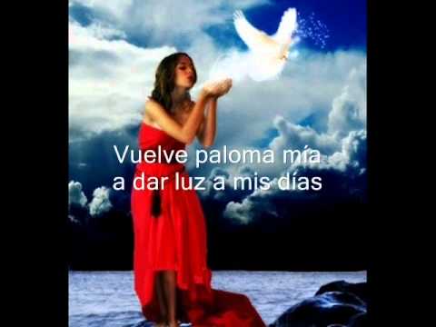 Vuelve Paloma Mía video