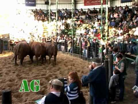 Jueves 18 de Agosto de 2011