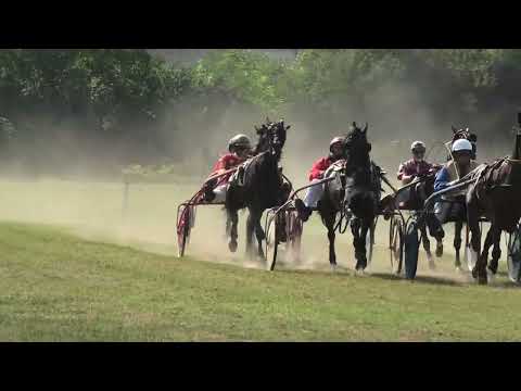 Trka "Mijatov vodovod i grejanje d.o.o." 28.8.2022. Danone - Branislav Mukić