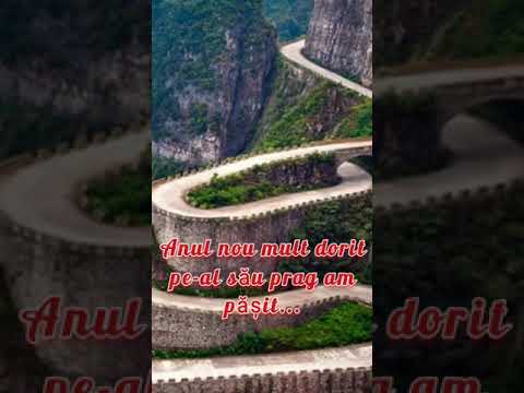 Fam.Murărașu. Anul nou mult dorit.