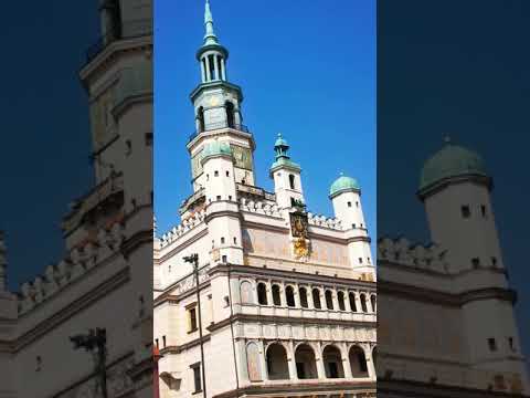 Jak codzień Poznań godzina 12 w południe