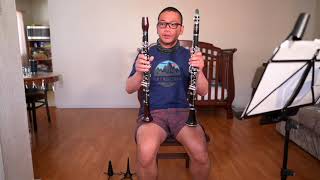 Video thumbnail for Backun Alpha Student Clarinet vs Buffet R13 Professional Clarinet Comparison by dominic alba