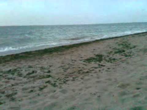 Plaja Vama Veche - avi -