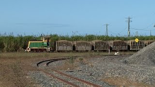 preview picture of video 'Cane Railway Critter : Australian Railways'
