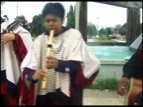 Ancestro-Sueño Lejano