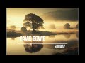 David Bowie - Sunday (lyrics video with AI generated images)