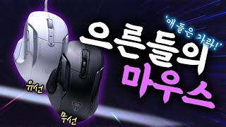 퀘이사존