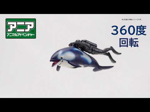【公式】アニア360度回転動画　「AL-40　カマイルカ（ダイバー付き）（水に浮くVer.）」