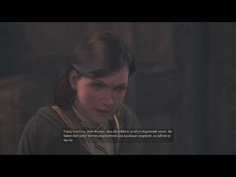 Hogwarts Legacy - Illegaler Drachenkampf