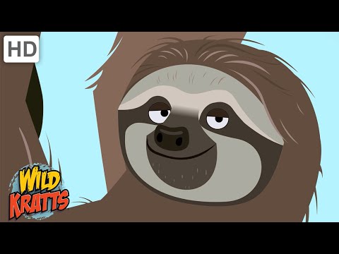 Amazing Adaptations Part 8 | How Animals Survive in the Wild | Wild Kratts