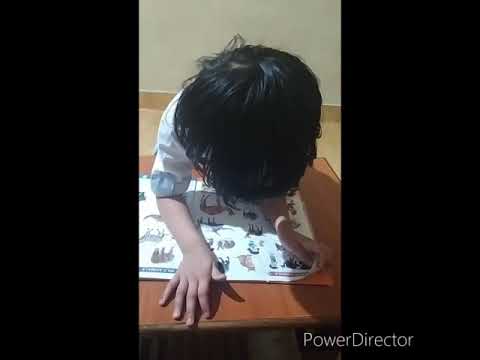 Domestic Animals & Wide Animals oral by Kimaya Wadekar