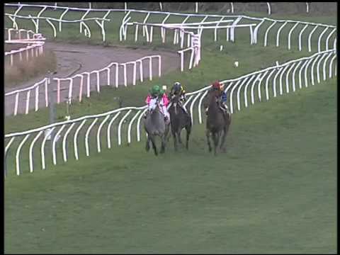 Galoppo 23/01/2015 - 1° corsa