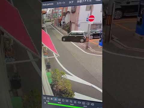 人気の取り組み「シーズンごとに 1 回の自動車通行禁止日曜日 - 4 年間限定のトライアル」 - 定義