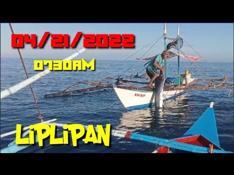 #fishing catching malasugue or Liplipan #dao #antique