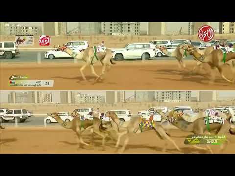 كأس ش 4 (الباهر) لـ سعيد جابر بن عبدالله الحربي 9:02:94 ,مهرجان خادم الحرمين 2026/1/28 ايذاع الجناد