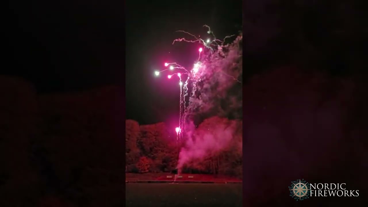 Feuerwerk zum 10 jährigen Hochzeitstag