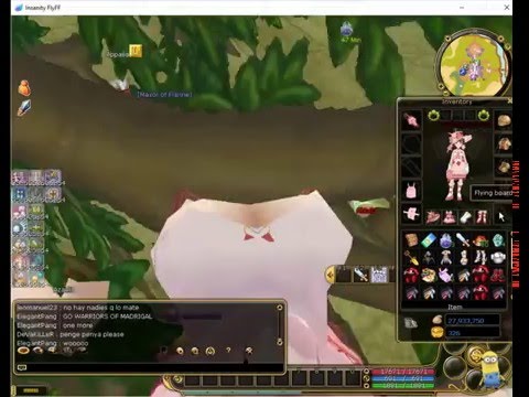 [Insanity Flyff] Boss Invasion