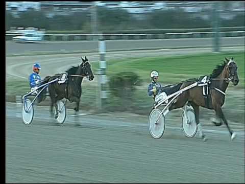 Trotto 26/02/2017 - 6ª corsa