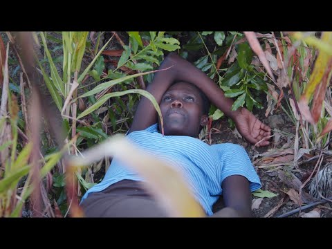 Nyamula – trailer | IFFR 2025