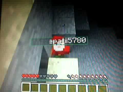 The lorax in minecraft