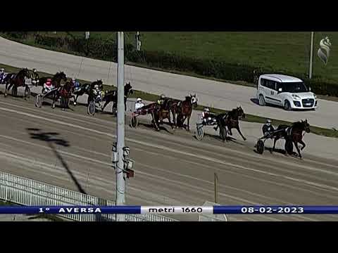 Aversa trotto 8 Febbraio 2023 - 1° Corsa