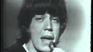 Video - Rolling Stones - The Last Time - Live 1965 - [HQ]