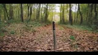 Ben Fero - 3 2 1 ( 1 Saat )