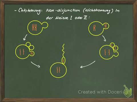 GtzVidB11 10 Aneuploidie