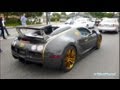 CRAZY Mansory Bugatti Veyron Vincero ...