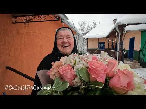 Într-o vizită scurtă, acasă la lelea SÎIUCA FETTI din satul SUPLAI, comuna ZAGRA, jud. BN (🆕2023)