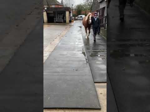 cm chat media video 1:eeb6d695 cbf3 5ee3 b2cb b2d86c12138f:321:1:0