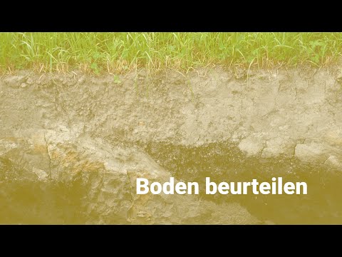 Boden beurteilen