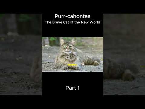 (Part 1) Purrcahontas  - The Brave Cat of the New World #cats #catlovers #kitten #story