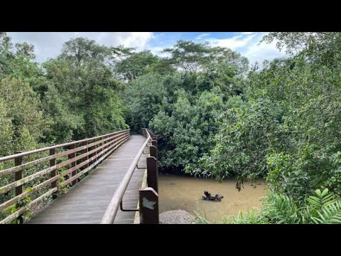 Singapore parks - Admiralty Park