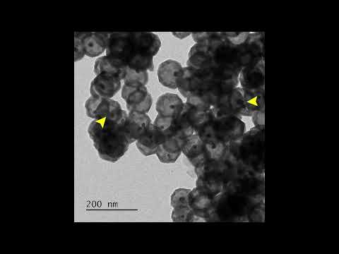 ナノシェルの中で金ナノ粒子が動く様子の撮影に成功