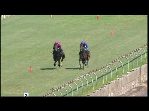 20210421 Hollywoodbets Greyville Gallop by KOMMETDIEDING and PINK FLOYD