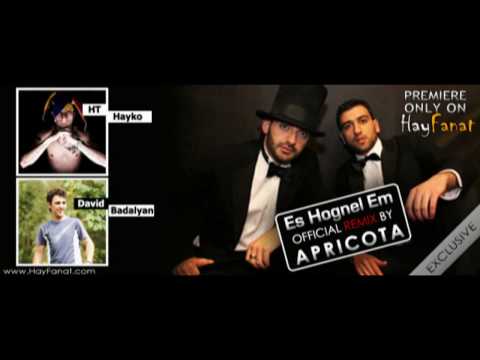 [AUDIO] HT Hayko feat. David Badalyan - Es Hognel Em [Sparkling Mix by Apricota] [Brand New]