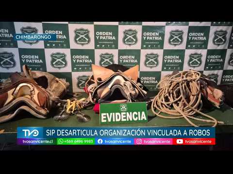 En Chimbarongo, trabajo investigativo de la SIP permite desarticular organización vinculada a robos