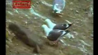 Download lagu Cinta Remaja mp3 Download lagu Cinta Remaja mp3