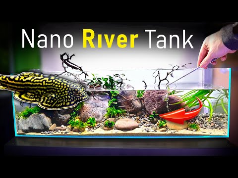 Building a NANO RIVER TANK w/ Fast Flow! (part 2) Planting | MD Fish Tanks