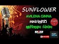 Old Hit Sunlowers Nonstop Avilena Ginna Part 01
