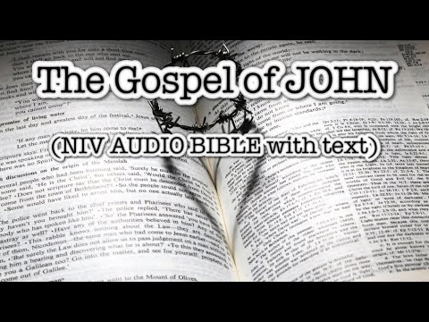The GOSPEL OF JOHN(NIV AUDIO BIBLE with text)